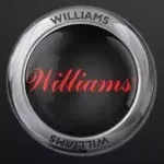 Williams-pinball-machine